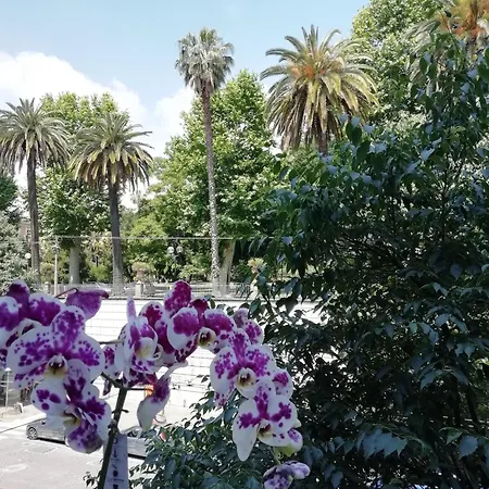 Botanic Charm-2